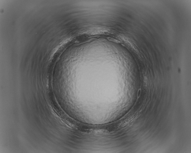 X0000067940539200605041803