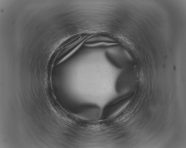 X0000067940540200605041803