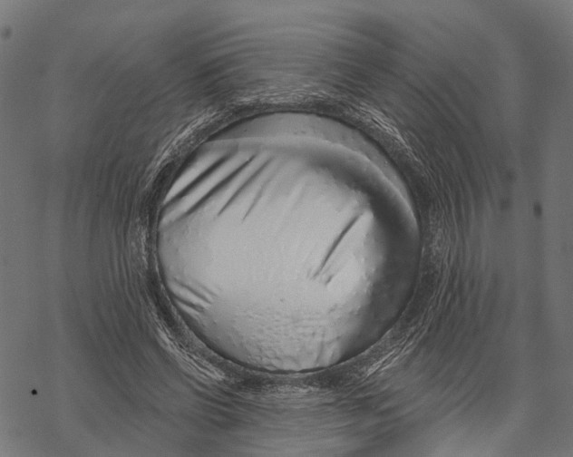X0000067940542200605041803