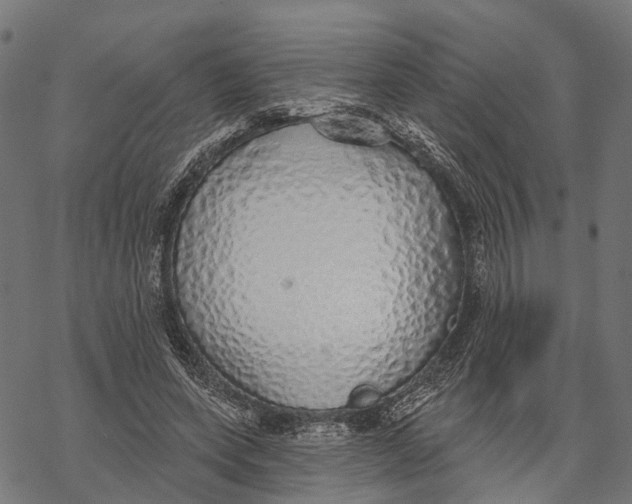 X0000067940543200605041803