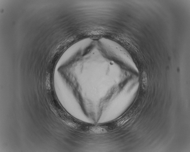 X0000067940547200605041803