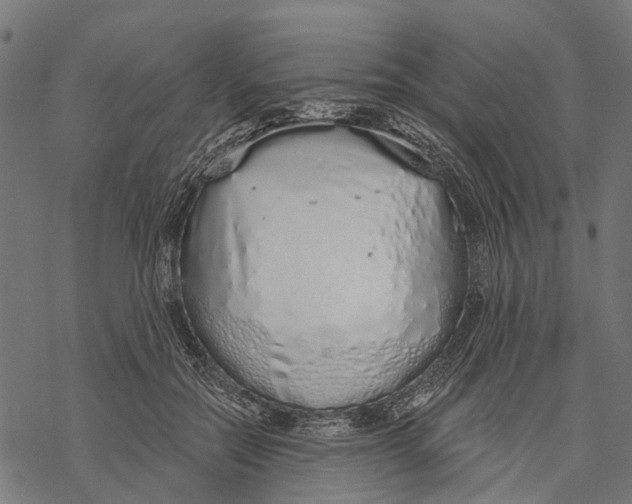 X0000067940554200605041803