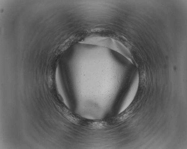 X0000067940566200605041803