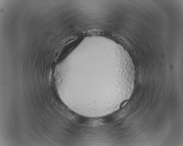 X0000067940569200605041803