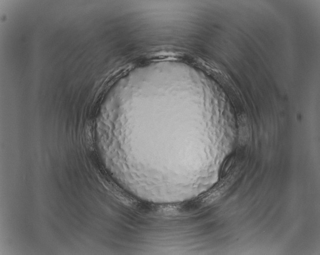 X0000067940573200605041803