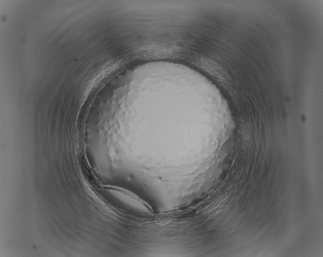 X0000067940582200605041802