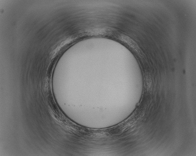X0000067940583200605041802