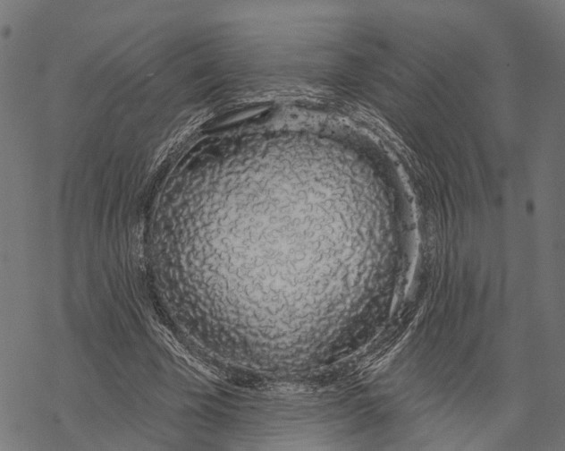 X0000067940585200605041802