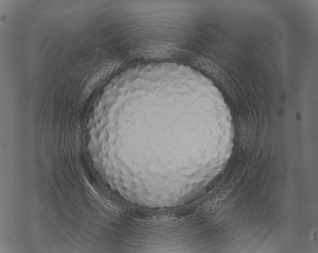 X0000067940586200605041802