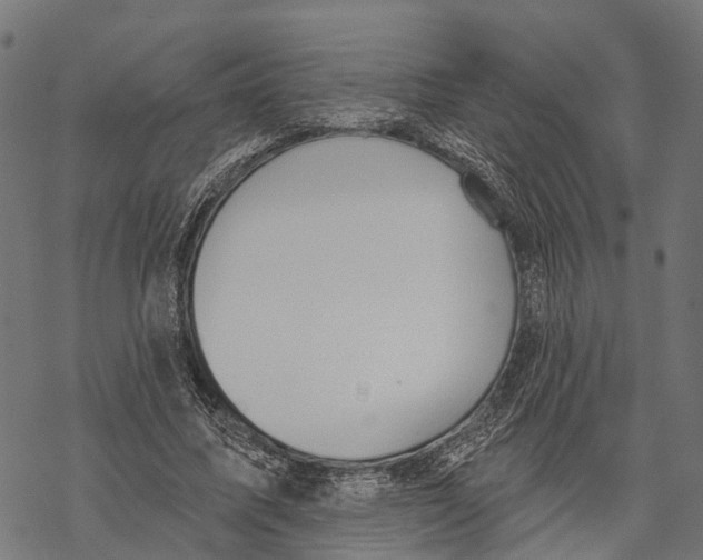 X0000067940587200605041802