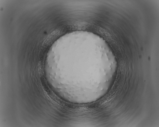 X0000067940594200605041802