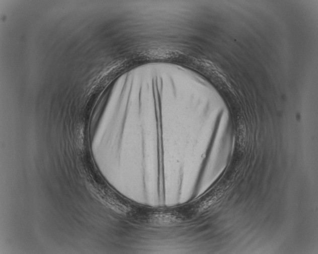 X0000067940596200605041802