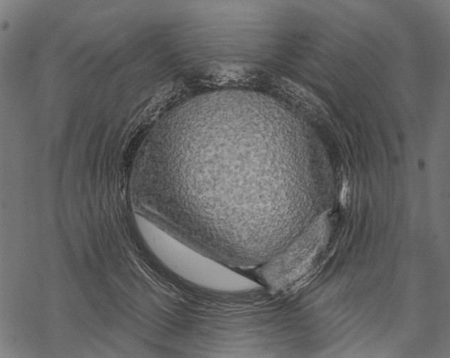 X0000067940607200605041802