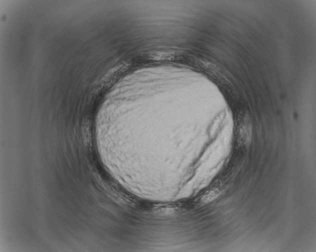 X0000067940620200605041802