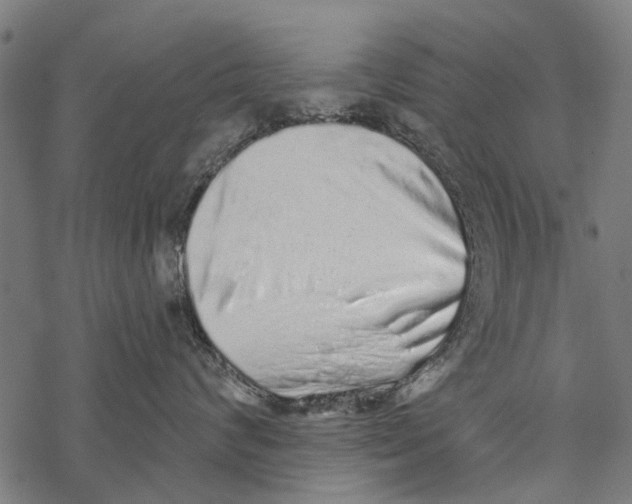 X0000067940624200605041802