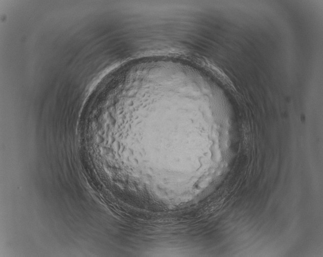 X0000067940628200605041801