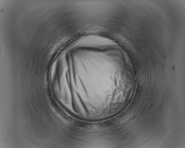 X0000067940634200605041801