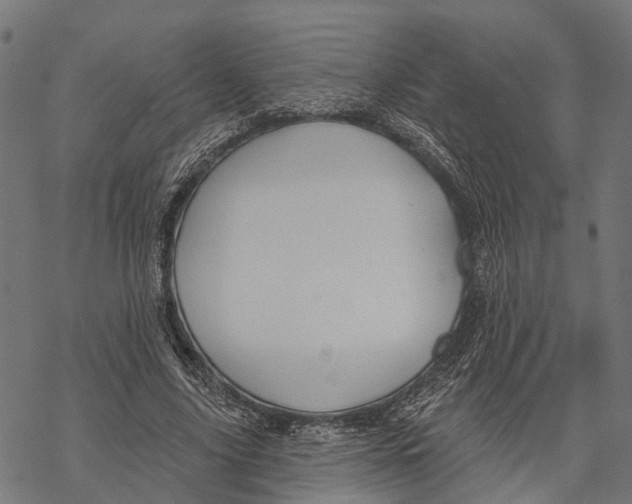 X0000067940635200605041801