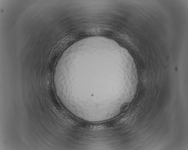 X0000067940645200605041801