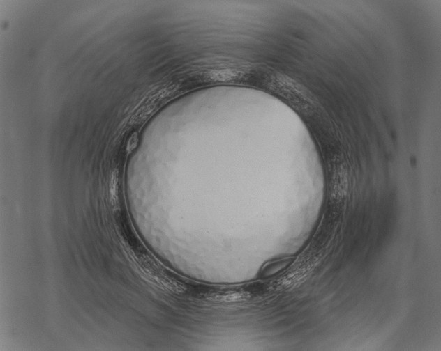 X0000067940646200605041801