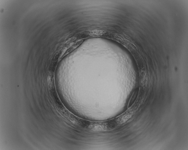 X0000067940655200605041801