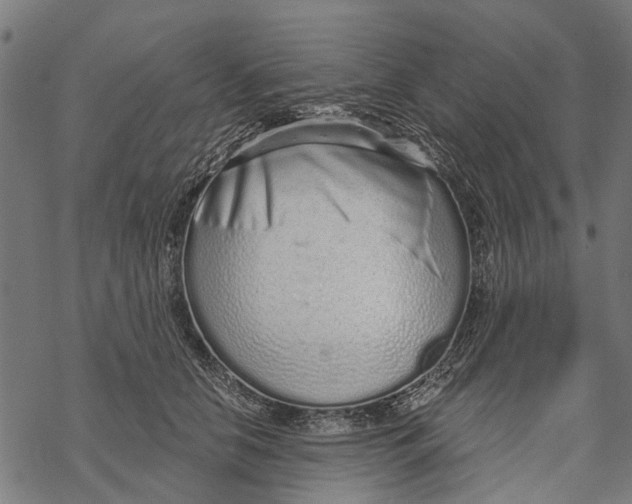 X0000067940658200605041802