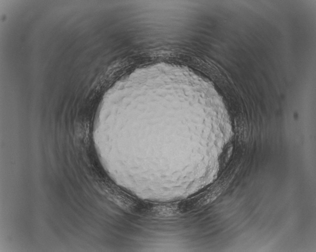 X0000067940660200605041802