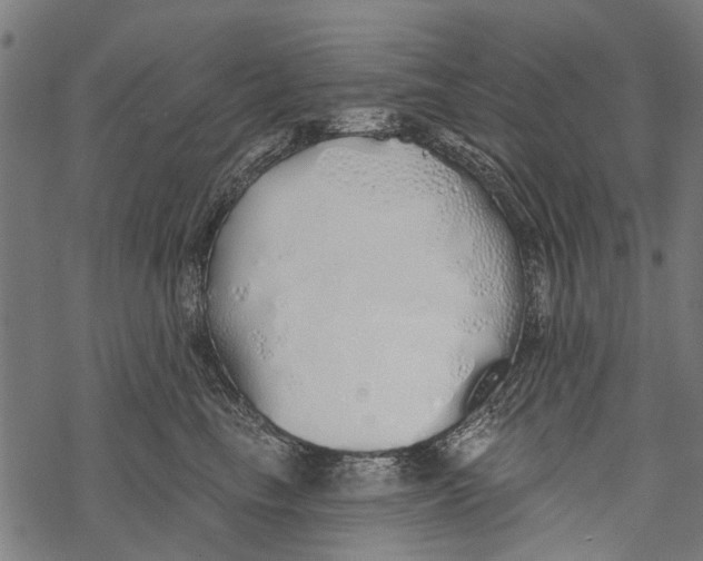 X0000067940665200605041802