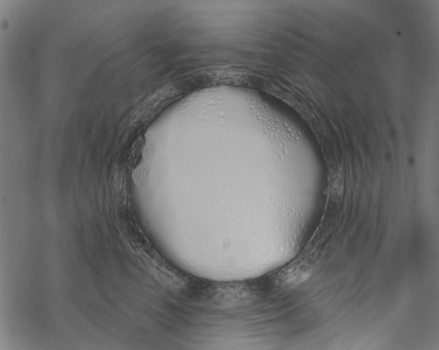 X0000067940666200605041802