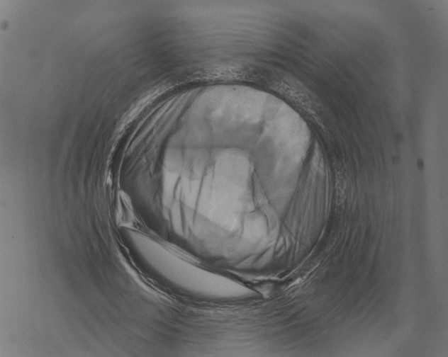 X0000067940674200605041801