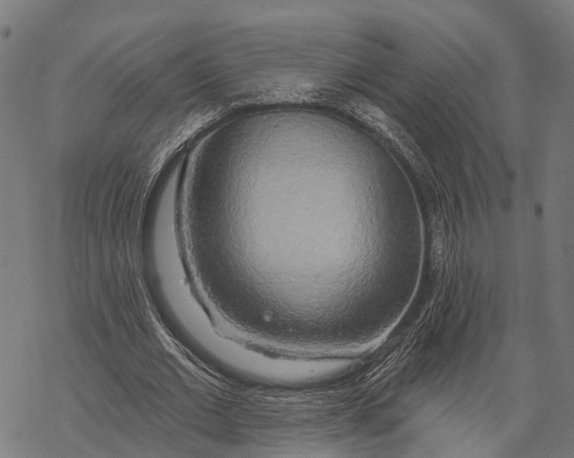 X0000067940677200605041801
