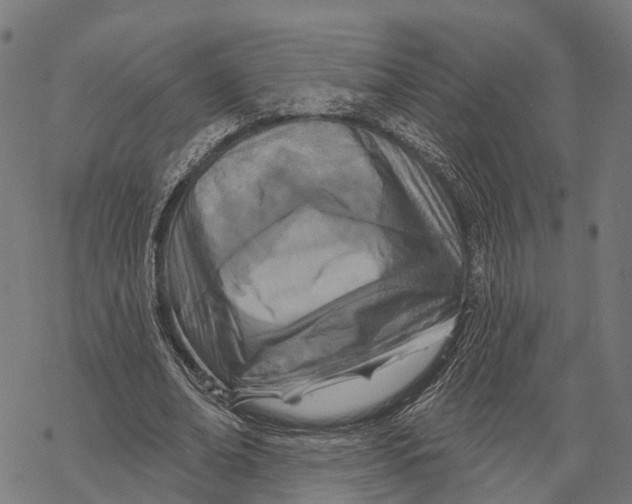X0000067940678200605041801