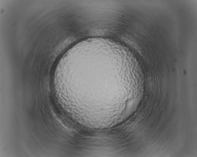 X0000067940682200605041801