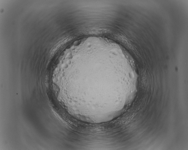 X0000067940683200605041801