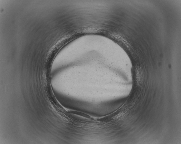 X0000067940684200605041801