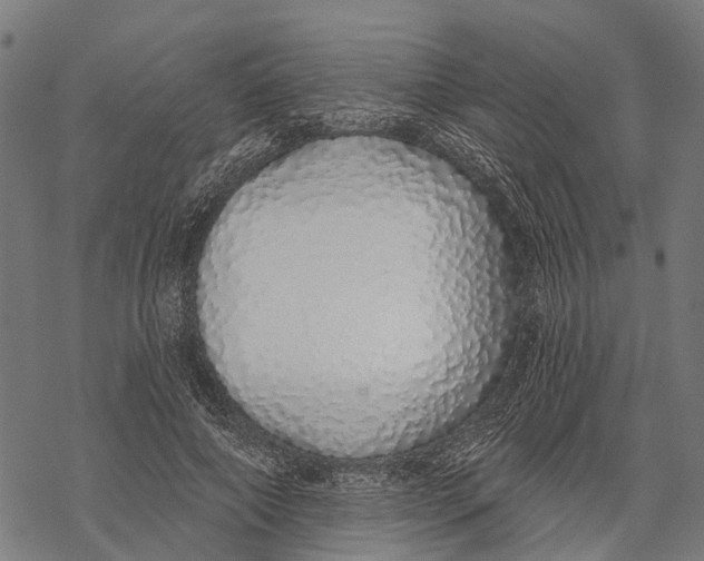 X0000067940690200605041801