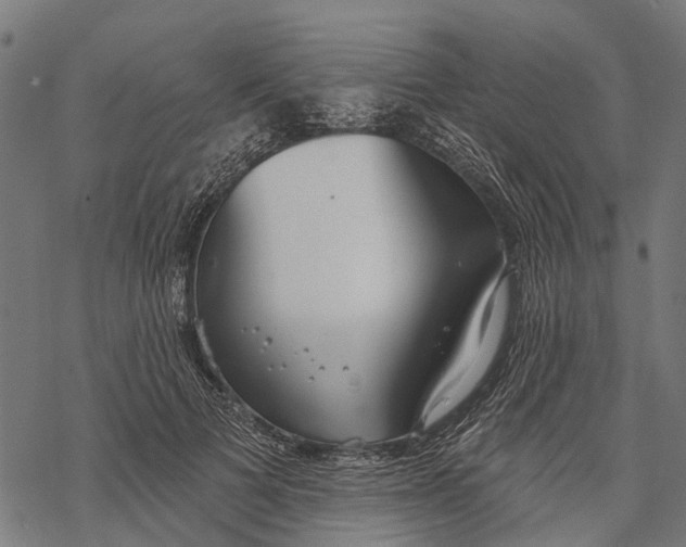 X0000067940697200605041801