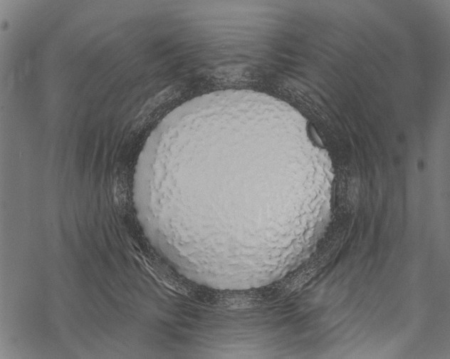 X0000067940710200605041800
