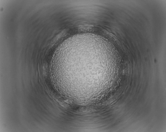 X0000067940712200605041800