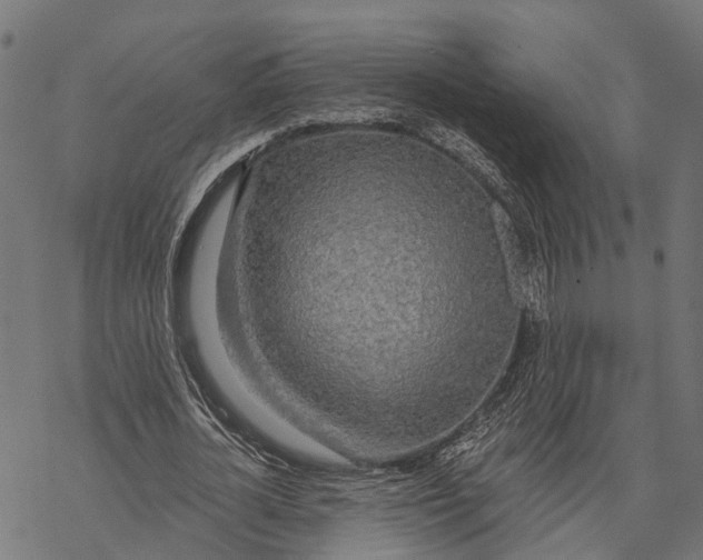 X0000067940724200605041759