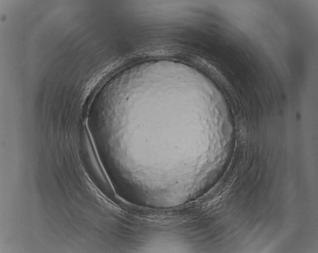 X0000067940725200605041759