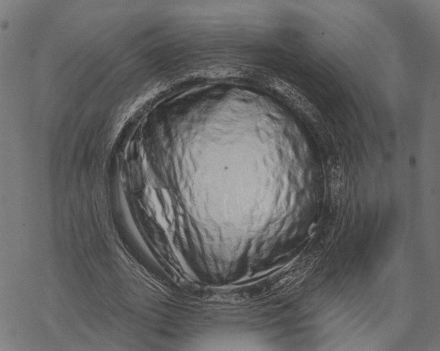 X0000067940727200605041759