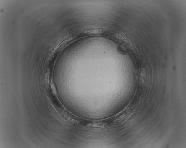 X0000067940739200605041800