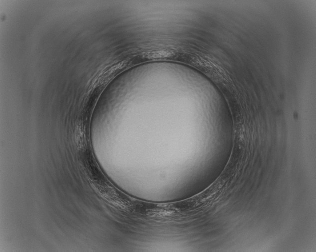 X0000067940743200605041800