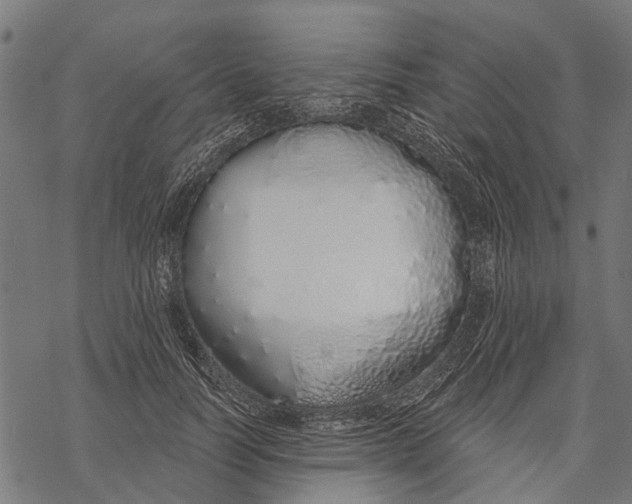 X0000067940746200605041800