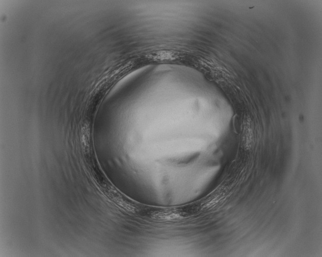 X0000067940747200605041800