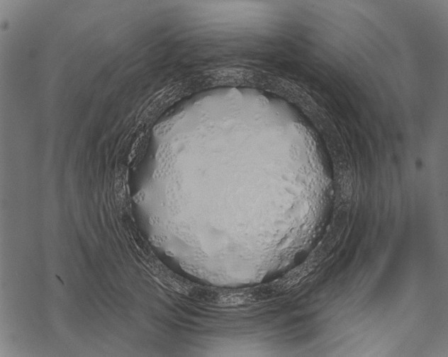 X0000067940753200605041800