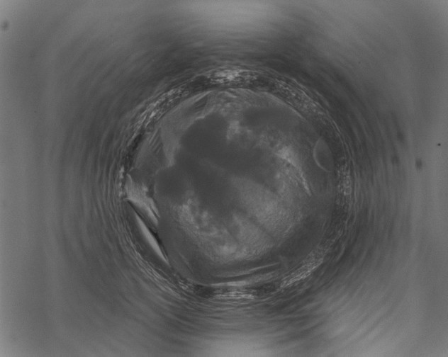 X0000067940754200605041800