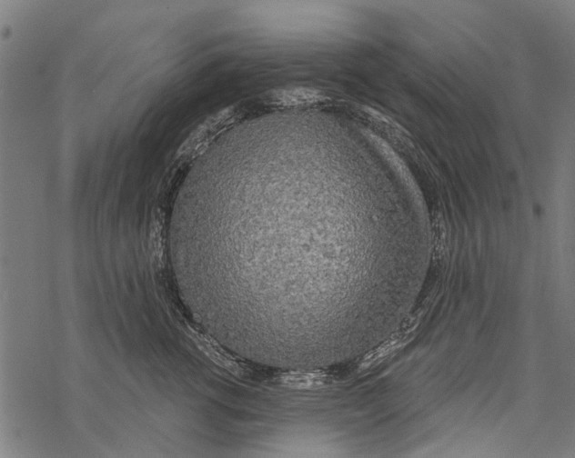 X0000067940762200605041800