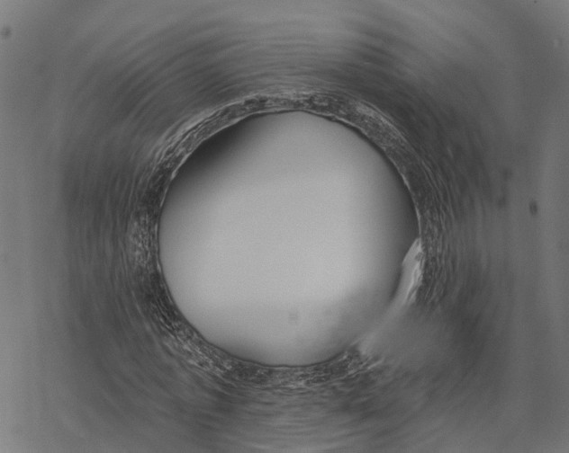 X0000067940773200605041759